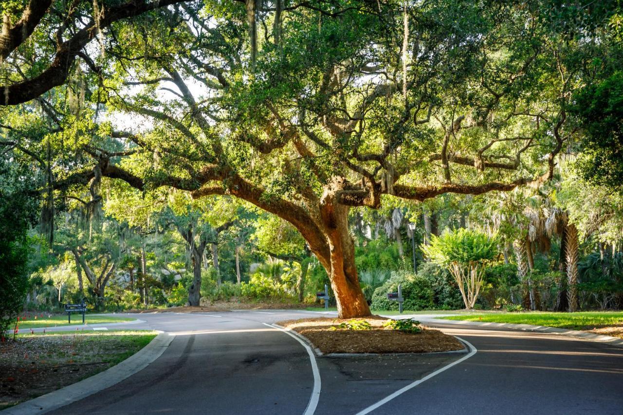 1313 Pelican Watch - Seabrook Island - Beachfront 5 Star Condo - Fido Friendly Esterno foto