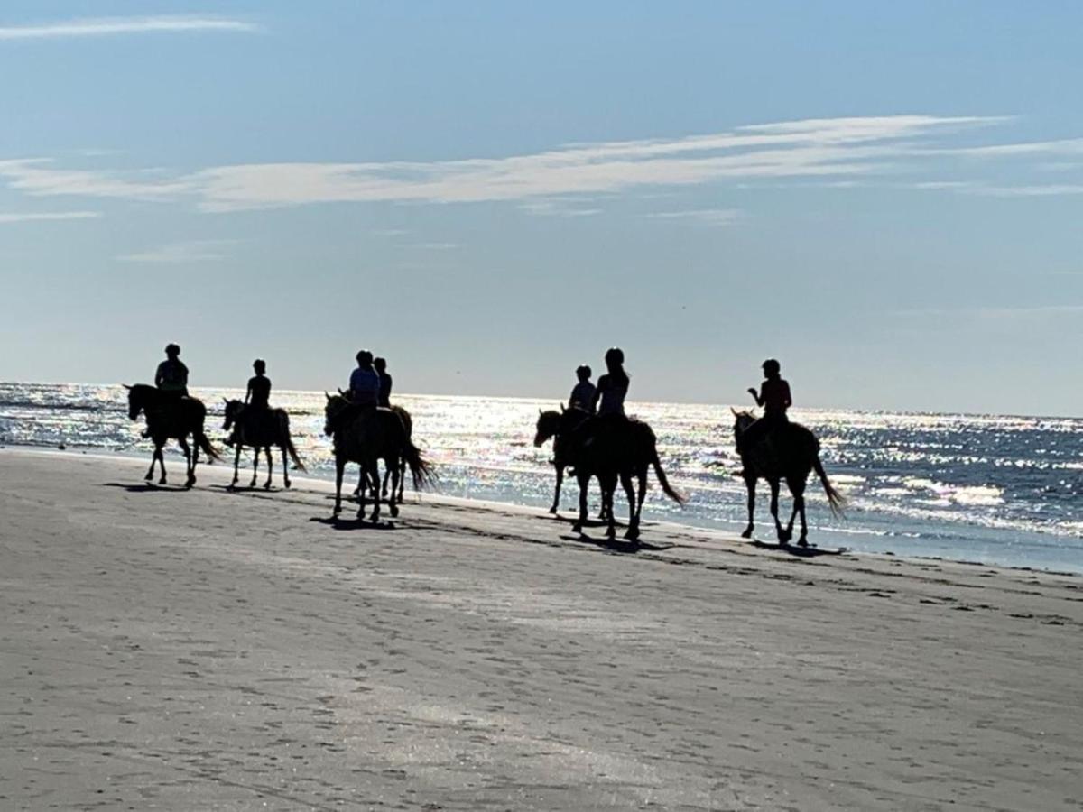 1313 Pelican Watch - Seabrook Island - Beachfront 5 Star Condo - Fido Friendly Esterno foto
