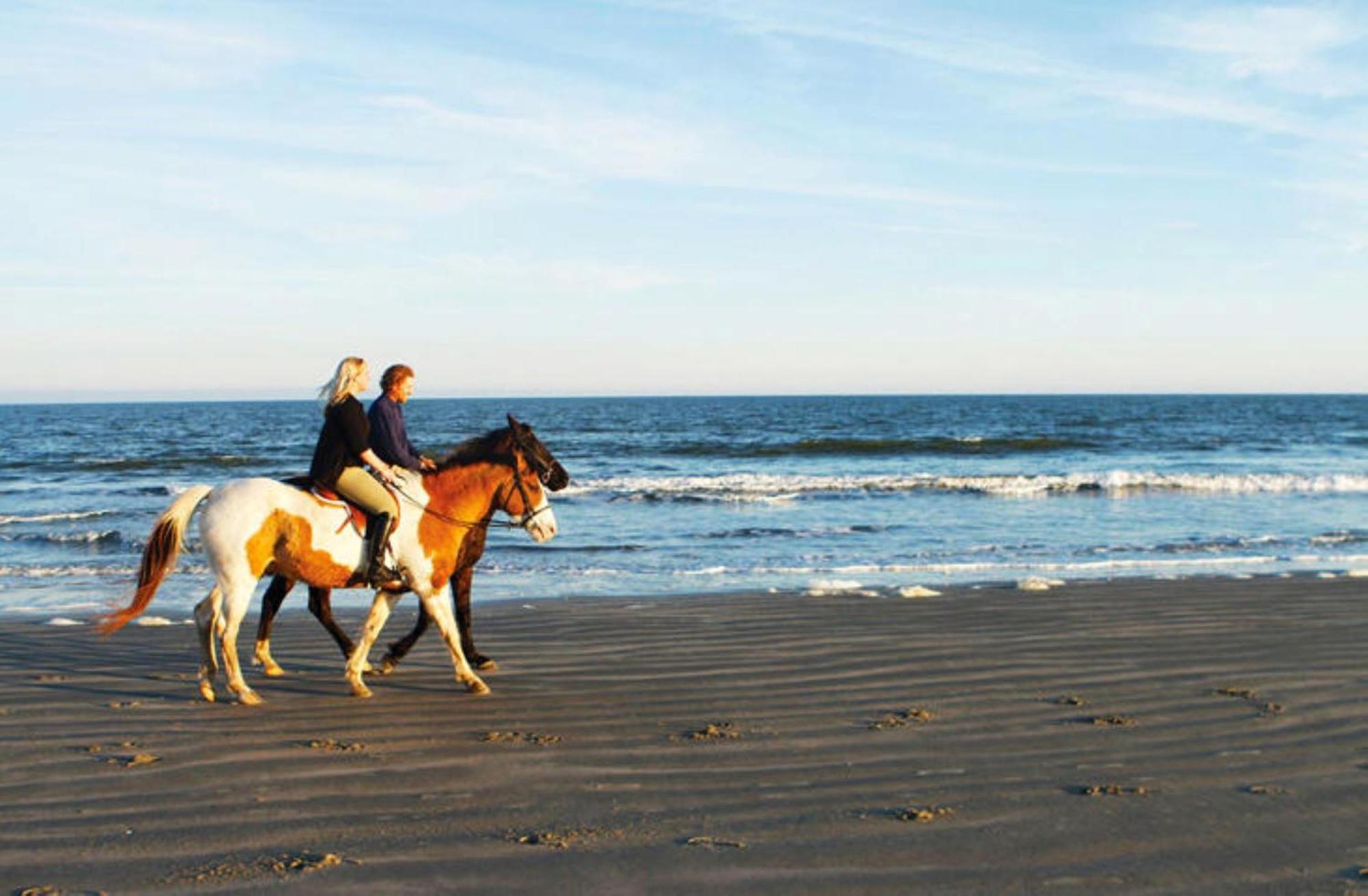 1313 Pelican Watch - Seabrook Island - Beachfront 5 Star Condo - Fido Friendly Esterno foto